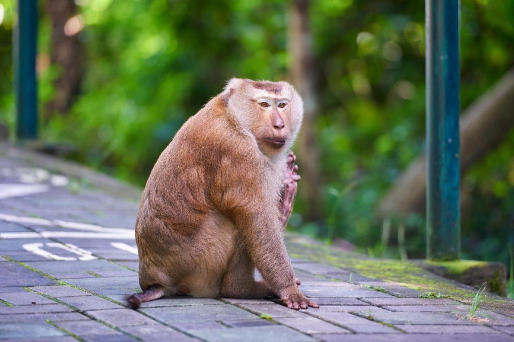 B2 Phuket Premier Hotel パトン エクステリア 写真
